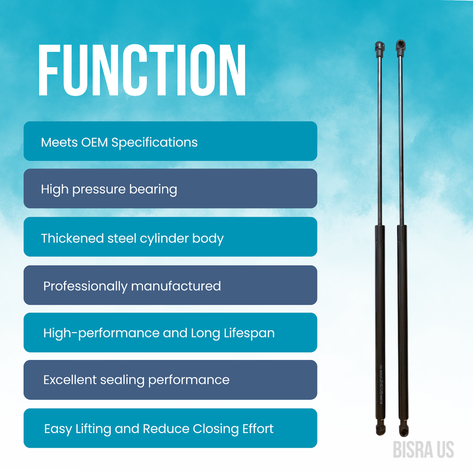 BISRA Trunk Gas Strut, Compatible with Nissan Juke 2011-2018, 260N ( 58.5 lbf) Pushing Force, Meets Original Specifications, High-Performance Long Lifespan, 1-Year Manufacturer Warranty